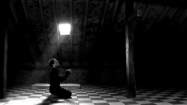 EL SUEÑO DE LA IGNORANCIA